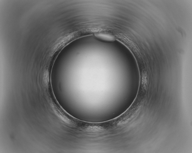 X0000112820397200908211210
