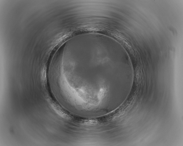 X0000112820398200908211210