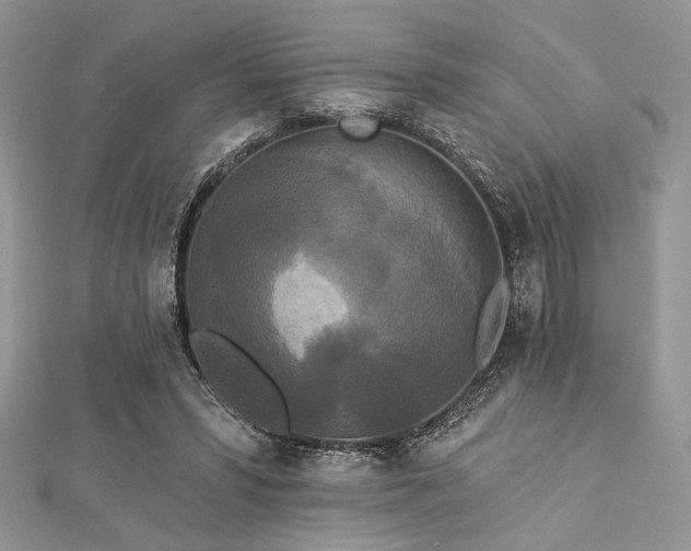 X0000112820399200908211210