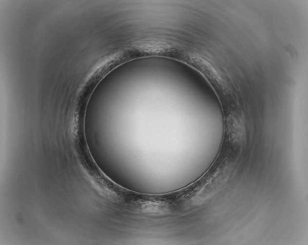 X0000112820400200908211210