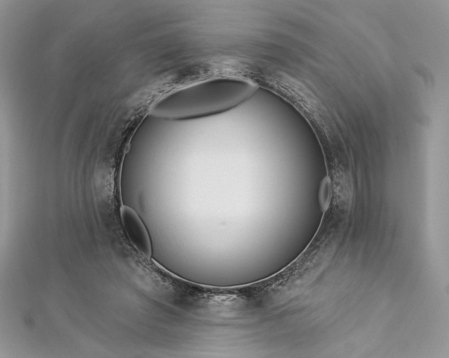 X0000112820401200908211210