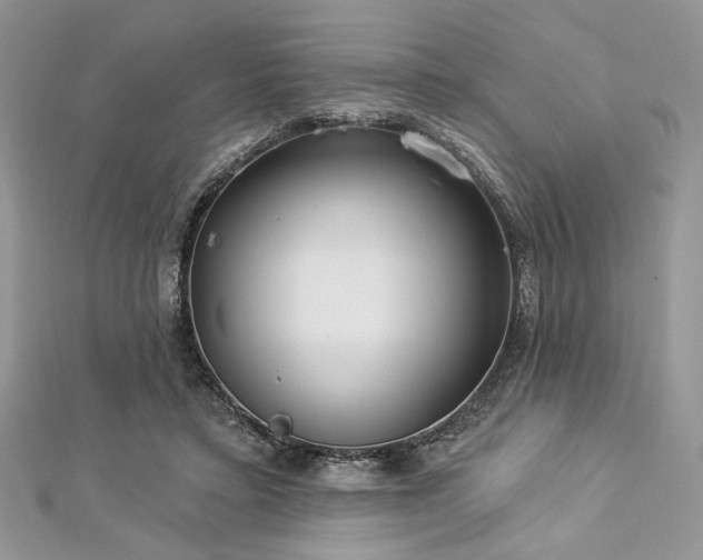 X0000112820403200908211210