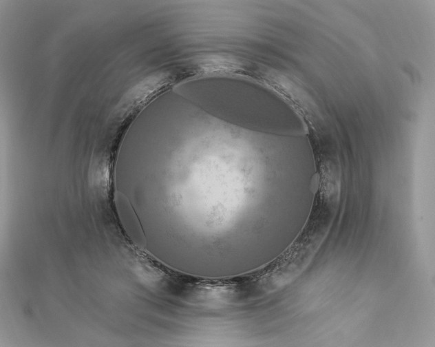 X0000112820405200908211210