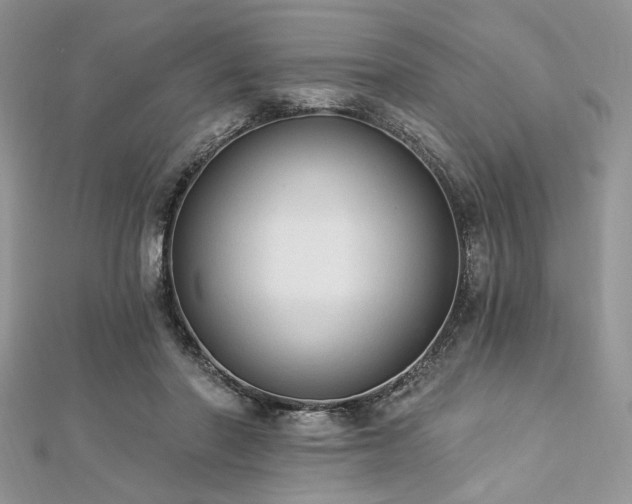X0000112820406200908211210