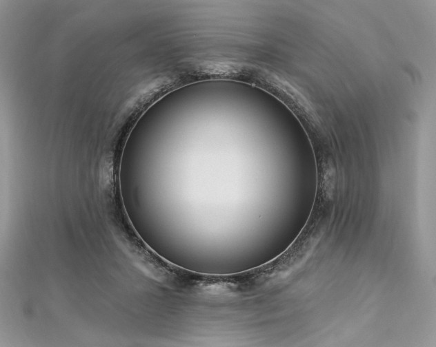 X0000112820407200908211210