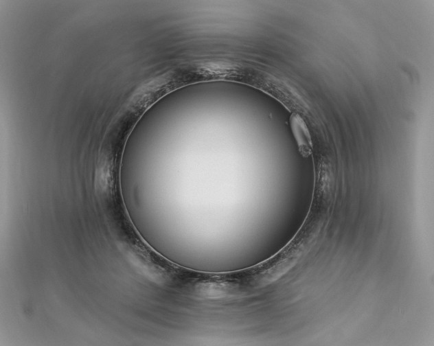 X0000112820408200908211210