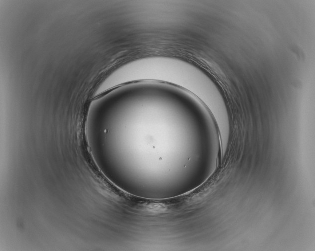 X0000112820409200908211210