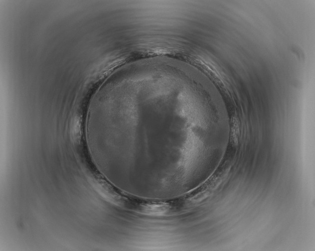 X0000112820410200908211210