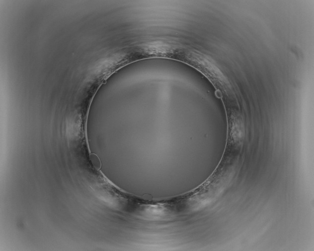 X0000112820411200908211210