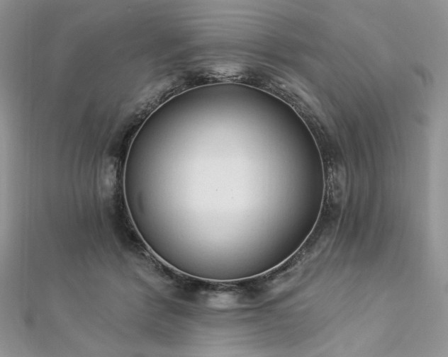 X0000112820412200908211210