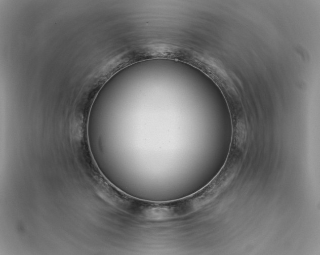 X0000112820413200908211210