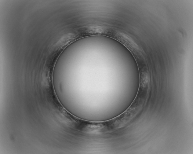 X0000112820414200908211210