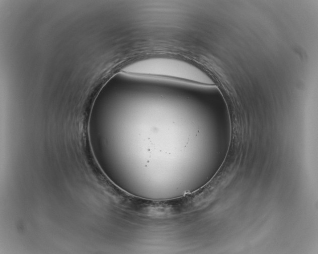 X0000112820415200908211210