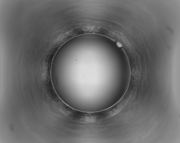 X0000112820416200908211210