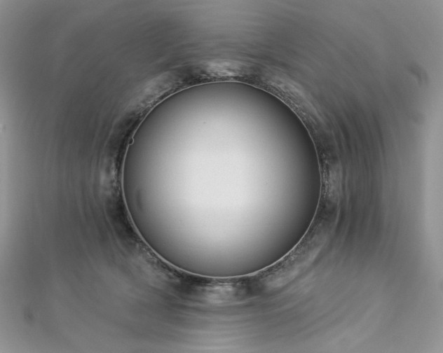 X0000112820418200908211210