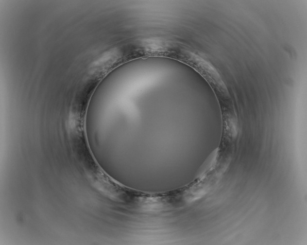 X0000112820419200908211210