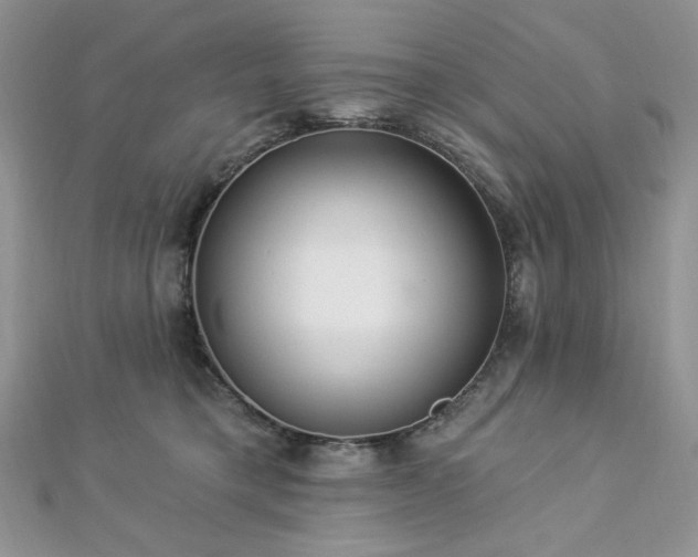 X0000112820421200908211210