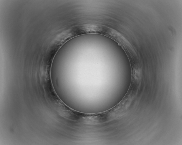 X0000112820422200908211210