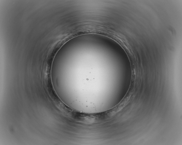 X0000112820423200908211210