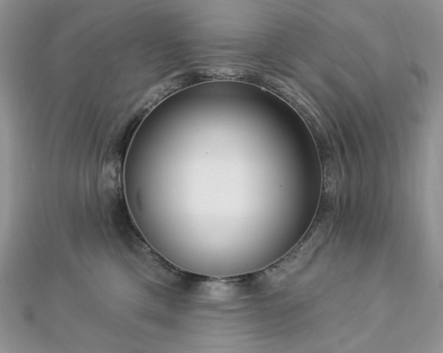 X0000112820425200908211210