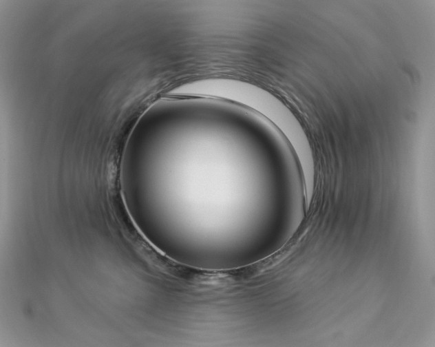 X0000112820427200908211210