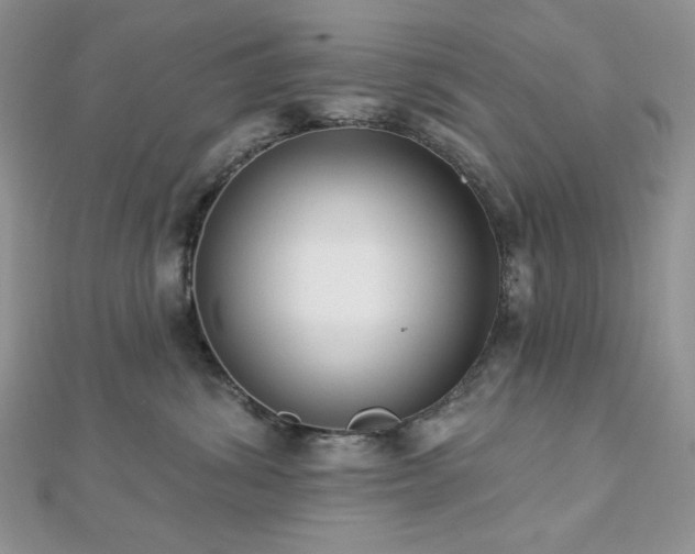X0000112820428200908211210