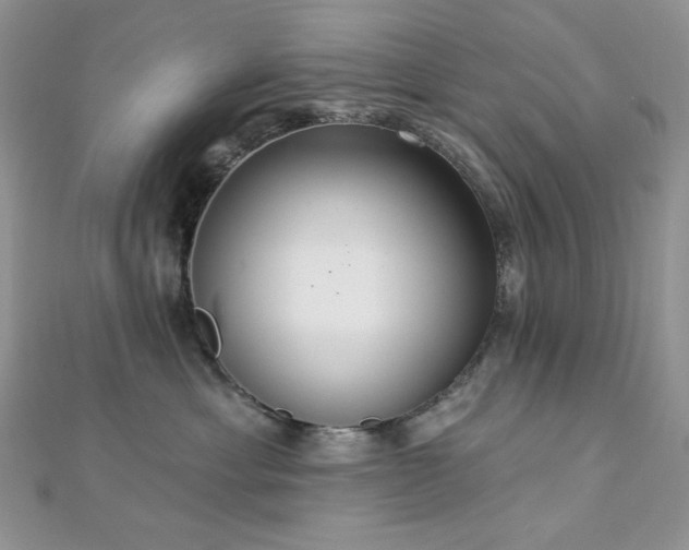 X0000112820429200908211210