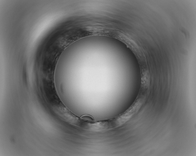X0000112820430200908211210