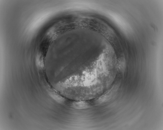 X0000112820431200908211210