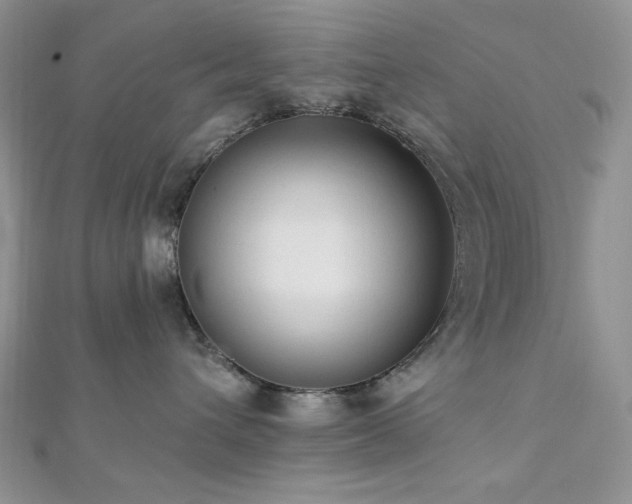 X0000112820432200908211210