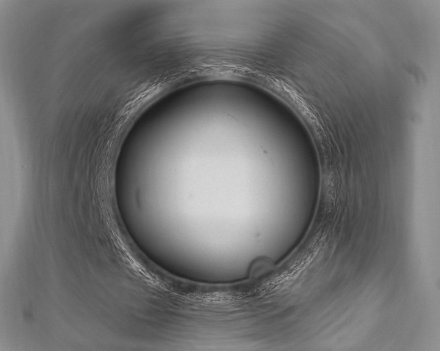 X0000112820433200908211209