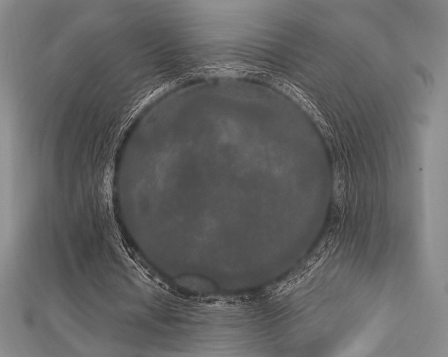X0000112820434200908211209