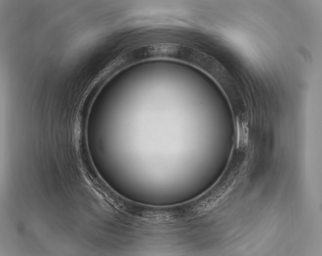 X0000112820435200908211209