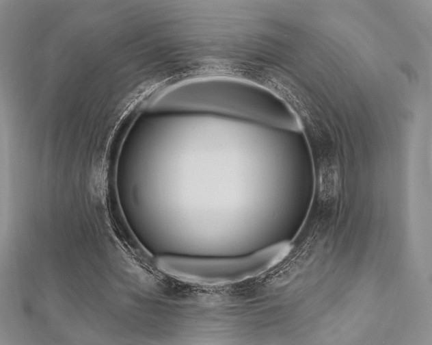 X0000112820436200908211209