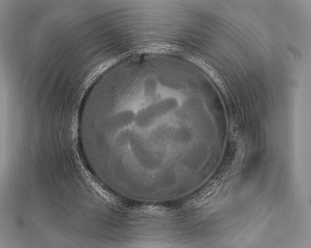 X0000112820437200908211209