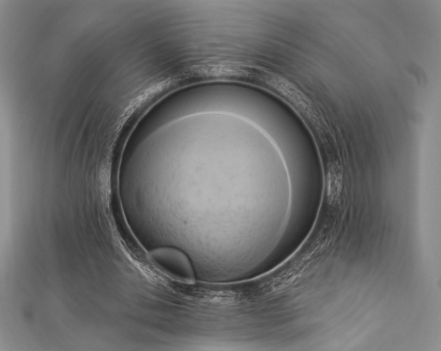 X0000112820438200908211209