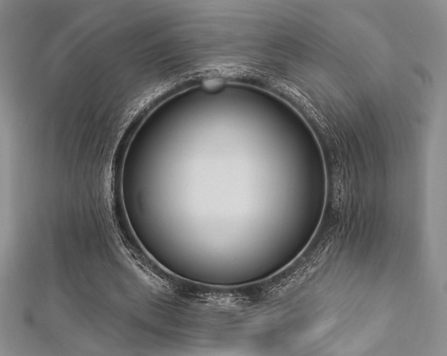 X0000112820439200908211209