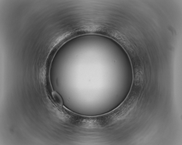 X0000112820440200908211209