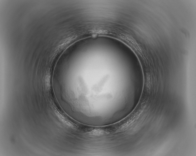 X0000112820441200908211209