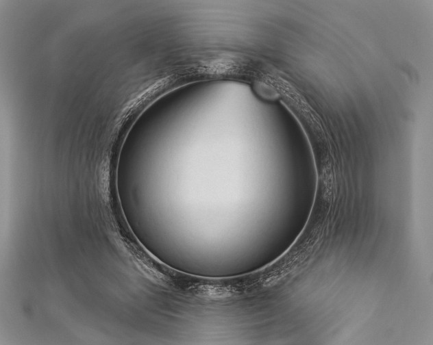 X0000112820442200908211209