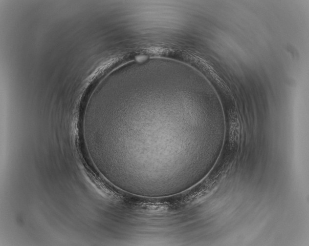 X0000112820443200908211209