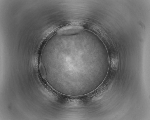 X0000112820444200908211209