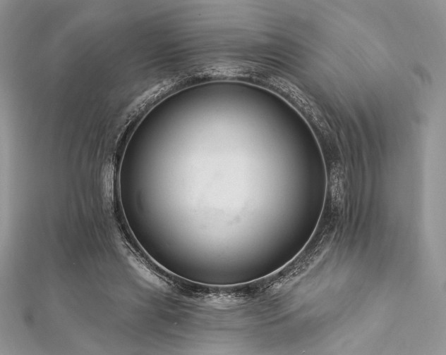 X0000112820445200908211209