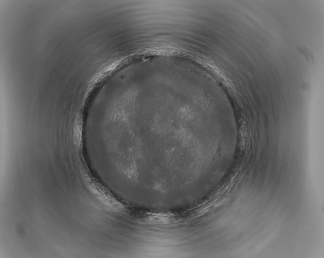 X0000112820446200908211209