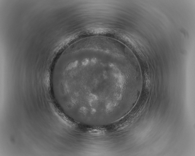 X0000112820447200908211209