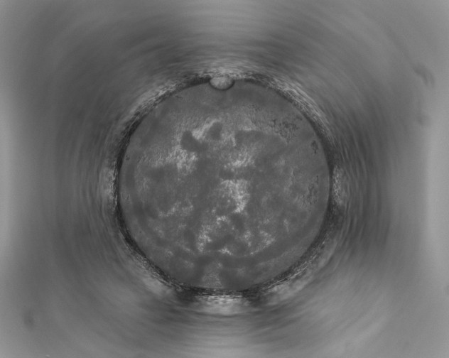 X0000112820449200908211209