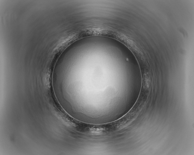 X0000112820450200908211209
