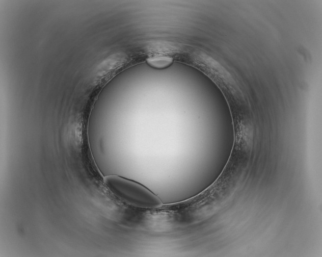 X0000112820452200908211209