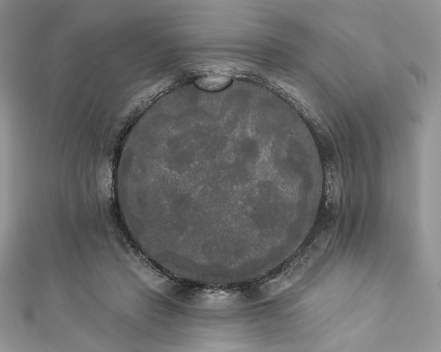 X0000112820453200908211209