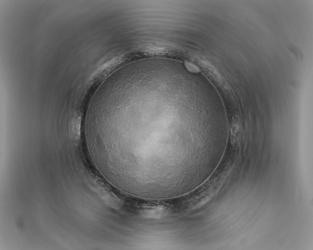 X0000112820454200908211209